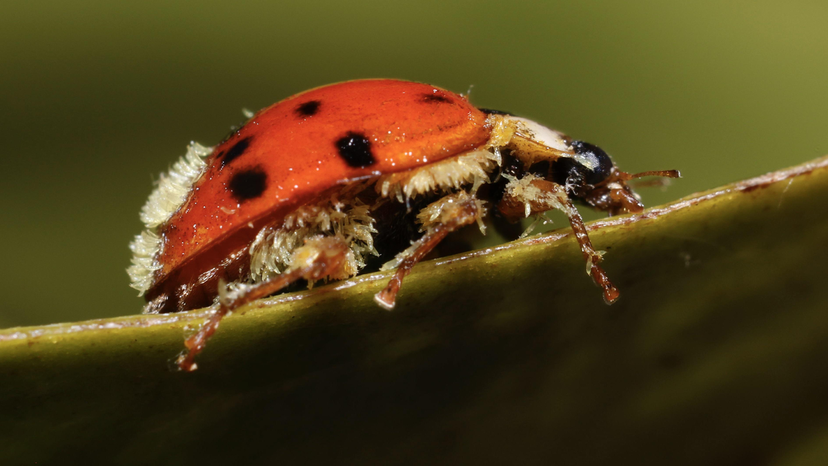 ��, ��� ����� ������� ��� � ��������.