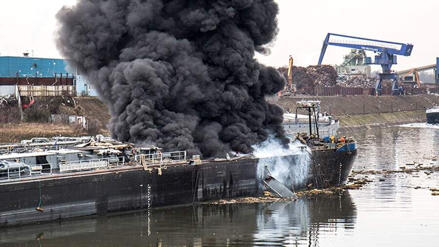    Фото: Global Look Press/imago stock&people