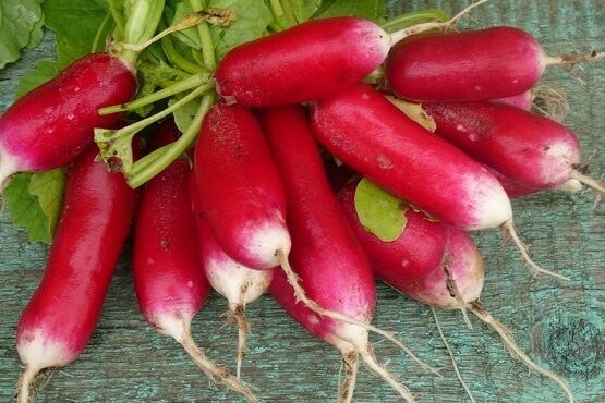 Яндекс. Картинки