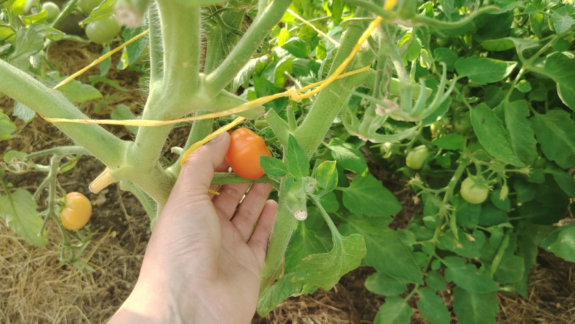    Фото редакции