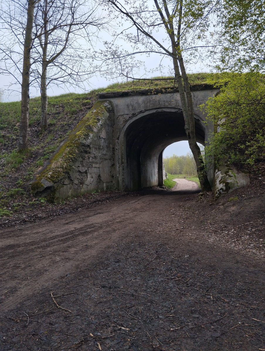 Южные ворота форта "Шанц", ведущие на территорию госудаоственного заповедника "Западный Котлин"