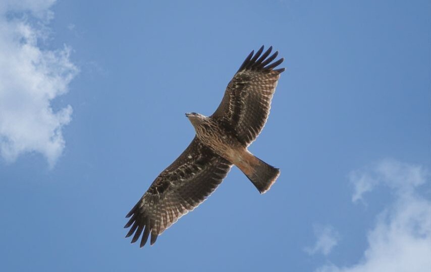 Ежедневник на 1 апреля