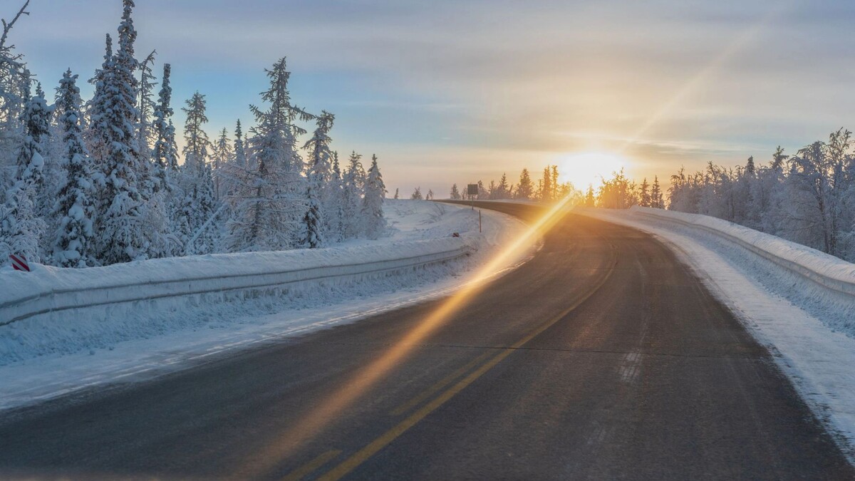    Фото: Федор Воронов / «Ямал-Медиа»