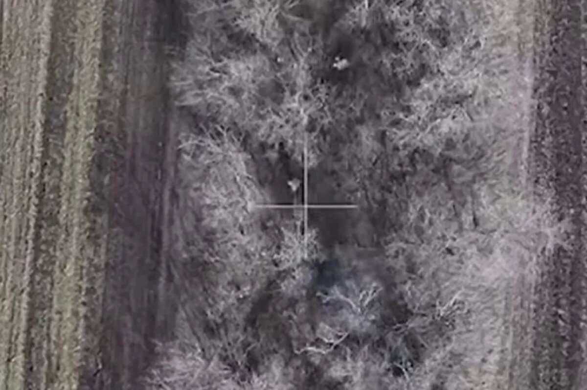    Операция «Удар крапивы»: хакеры обвалили систему управления боем ВСУ