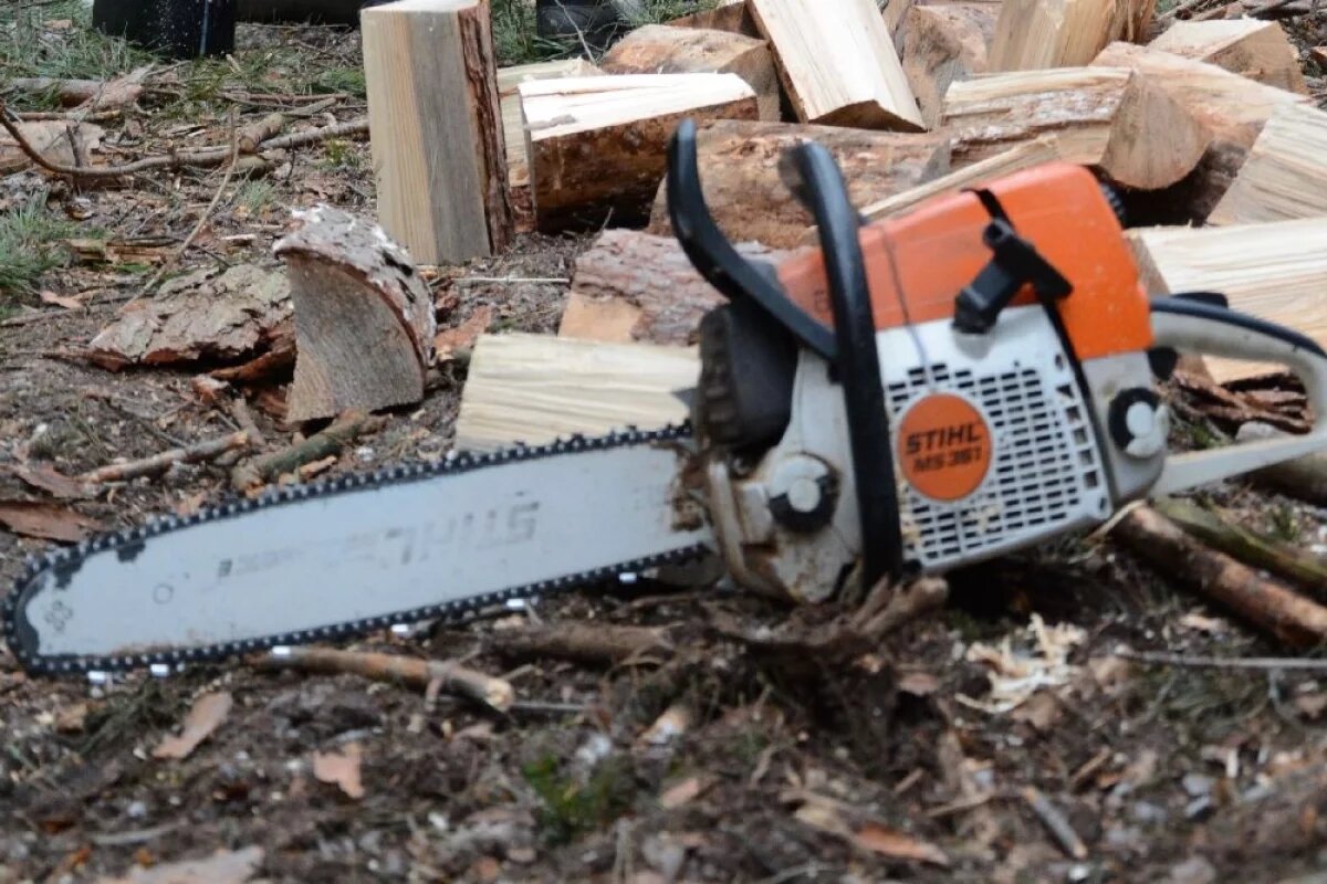    В Хабаровском крае арендатор леса выплатит 300 тысяч за незаконную рубку