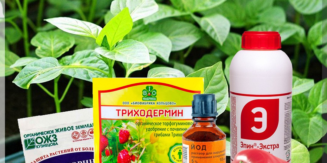 Биопрепараты от А до Я: подробный ликбез по биопрепаратам в вопросах и ответах. Часть 21