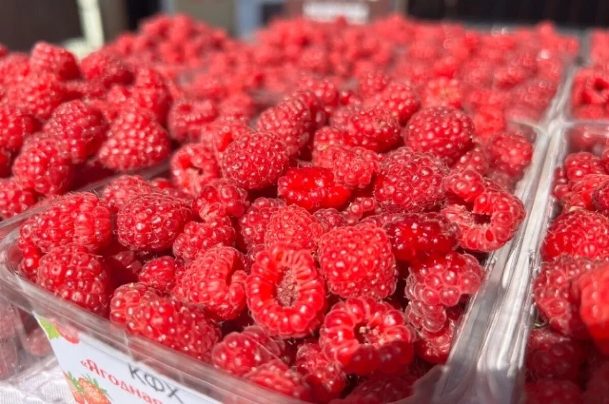    Агроном назвал новосибирцам главные ошибки при уходе за малиной