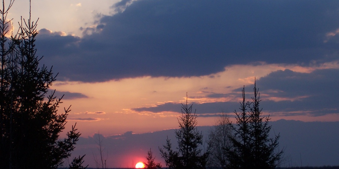 Охота на вальдшнепа на вечерней тяге.