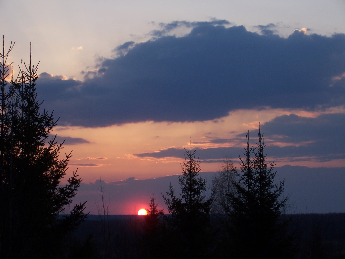 Тяга начинается.