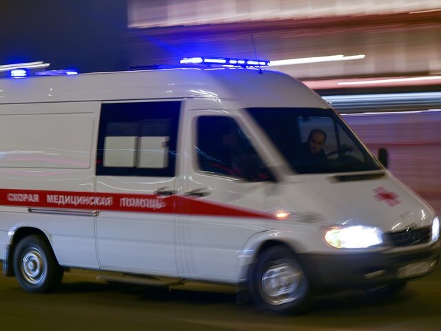    Фото: Москва 24/Антон Великжанин