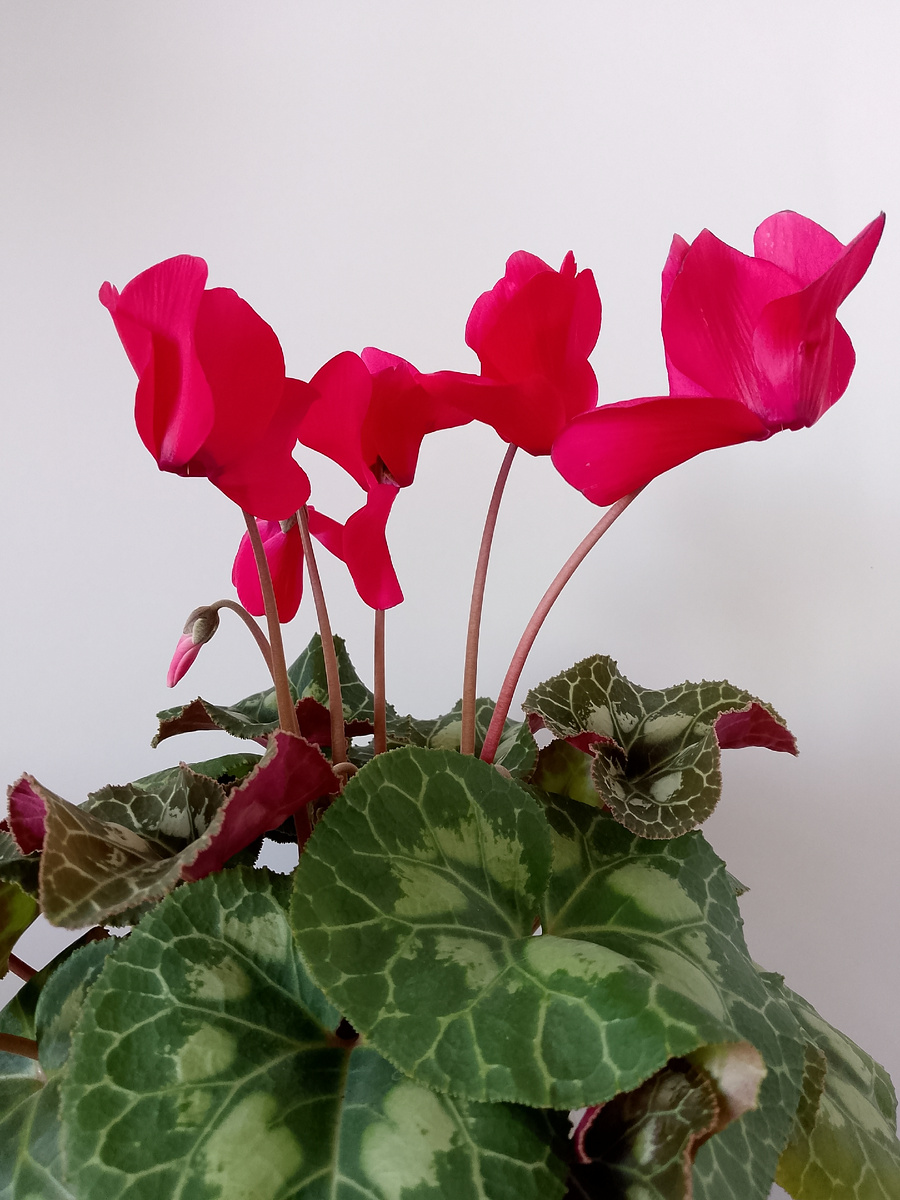 Фото автора канала