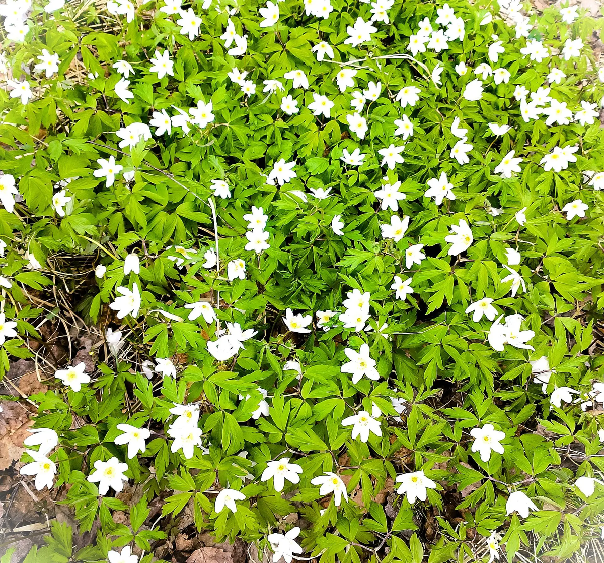 Фото Александра Гавристова