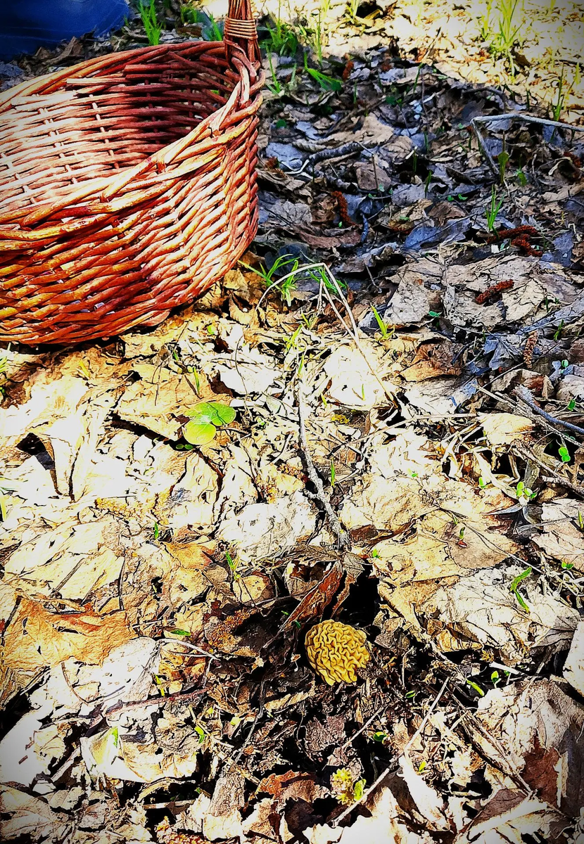 Фото Александра ГавристоваФото Александра Гавристова
