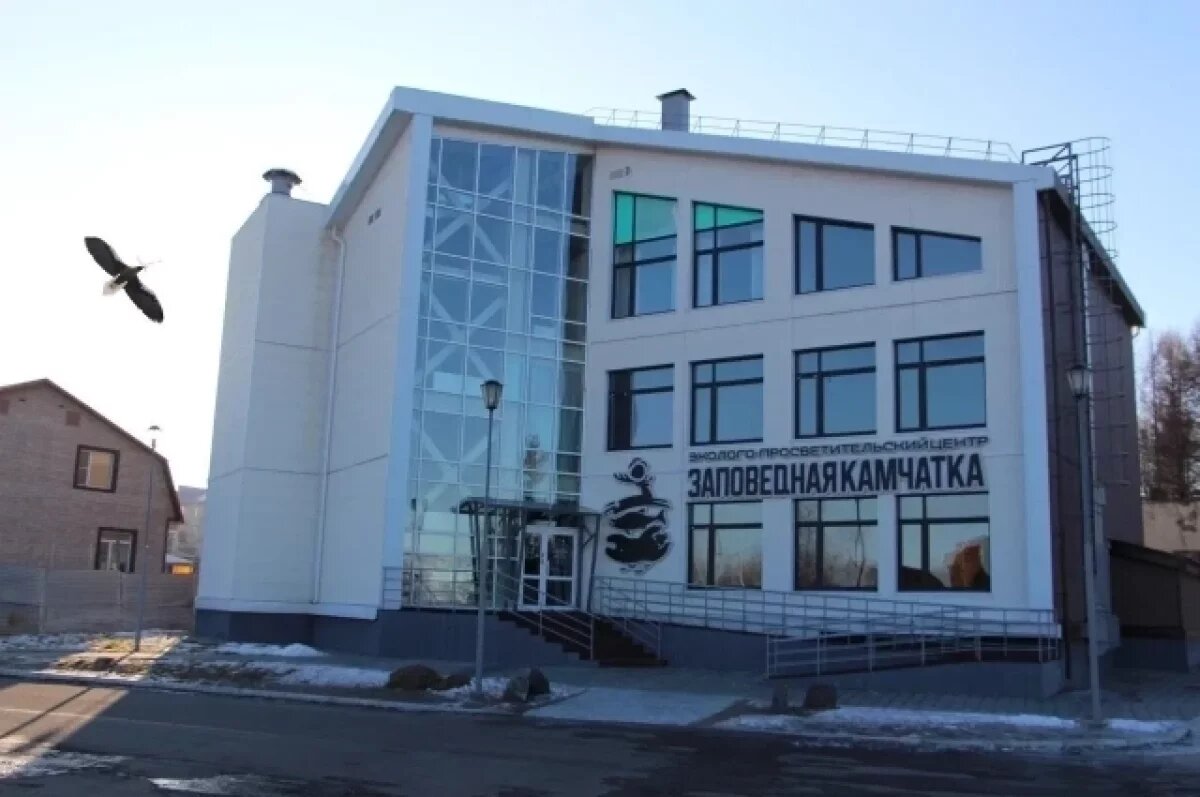    Белоплечие орланы вьют гнездо возле офиса заповедника на Камчатке