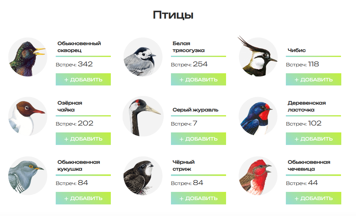 Статистика сайта встречаемптиц.рф