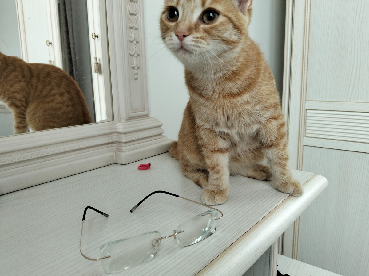 Мои новые очки