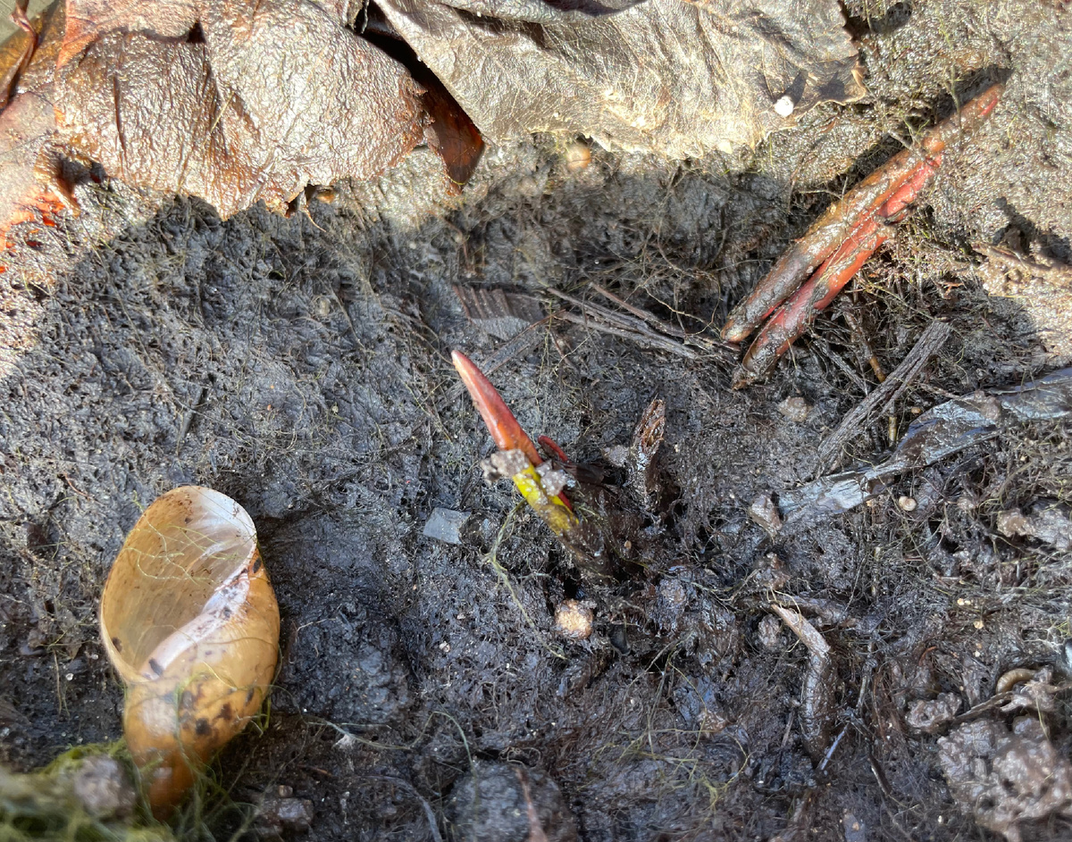 Точка роста есть!