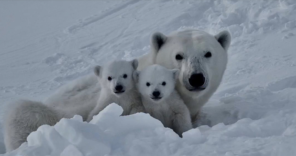 Фото: Максим Ляменков и Леонид Круглов