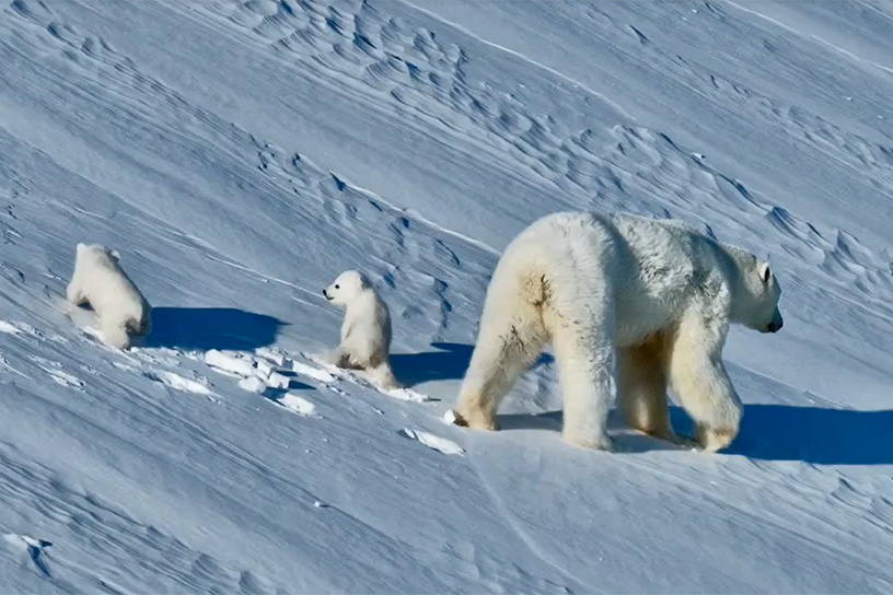 Фото: Максим Ляменков и Леонид Круглов
