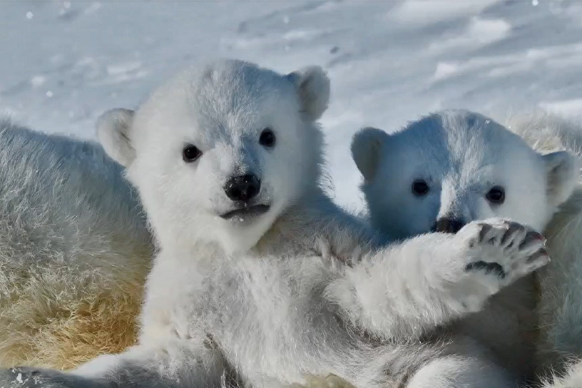 Фото: Максим Ляменков и Леонид Круглов