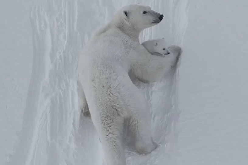 Фото: Максим Ляменков и Леонид Круглов