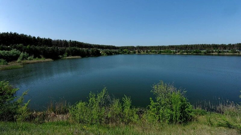     Более 70 тысяч мальков за шесть лет выпустил Алтай-Кокс в водные объекты Алтайского края. Фото предоставлено компанией Алтай-Кокс.