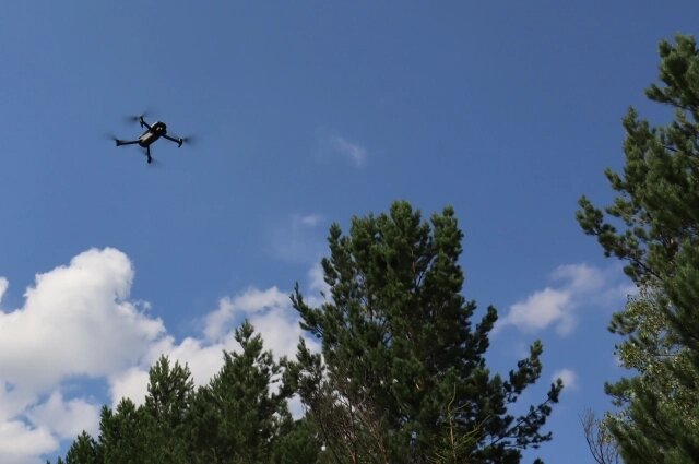    Фото: КГАУ "Лесопожарный центр"