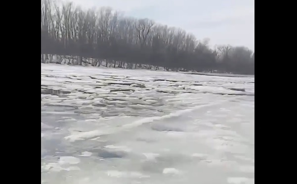    Скриншот видео Минприроды Самарской области