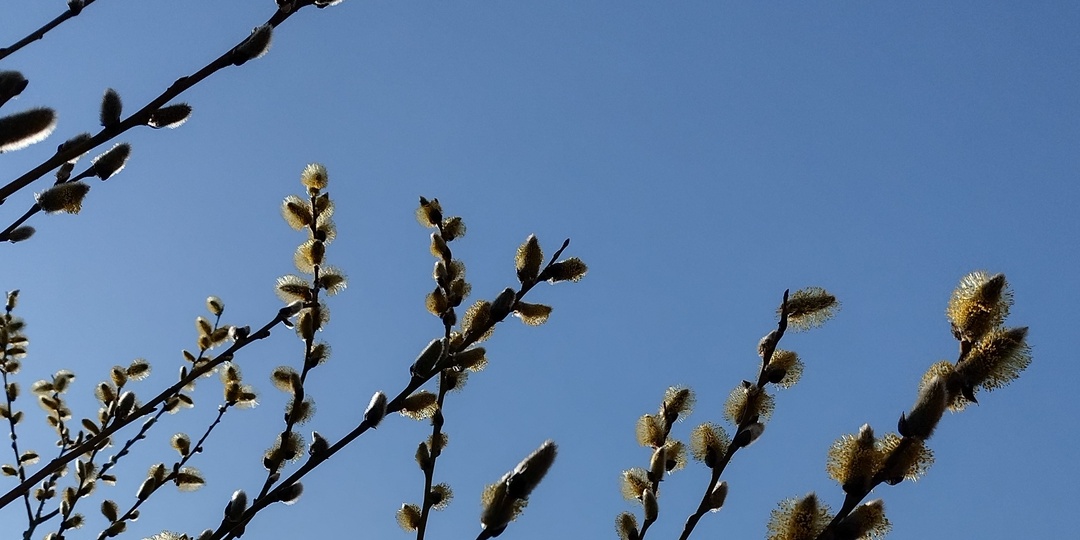 Не упустите апрельские энергии