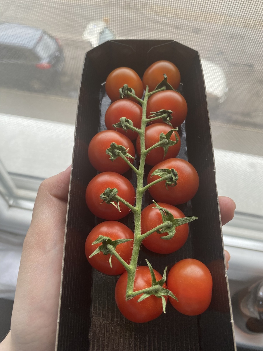 коктейльные помидоры действительно вкусные в Венгрии