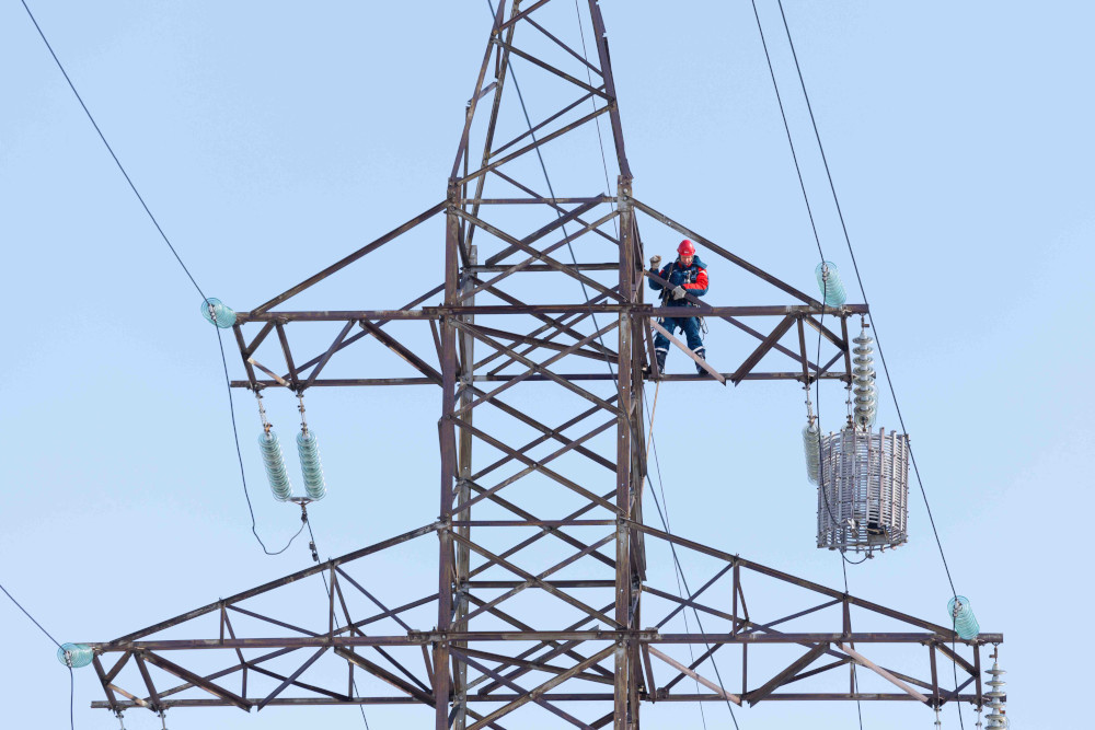    Фото: пресс-служба «Россети Новосибирск»