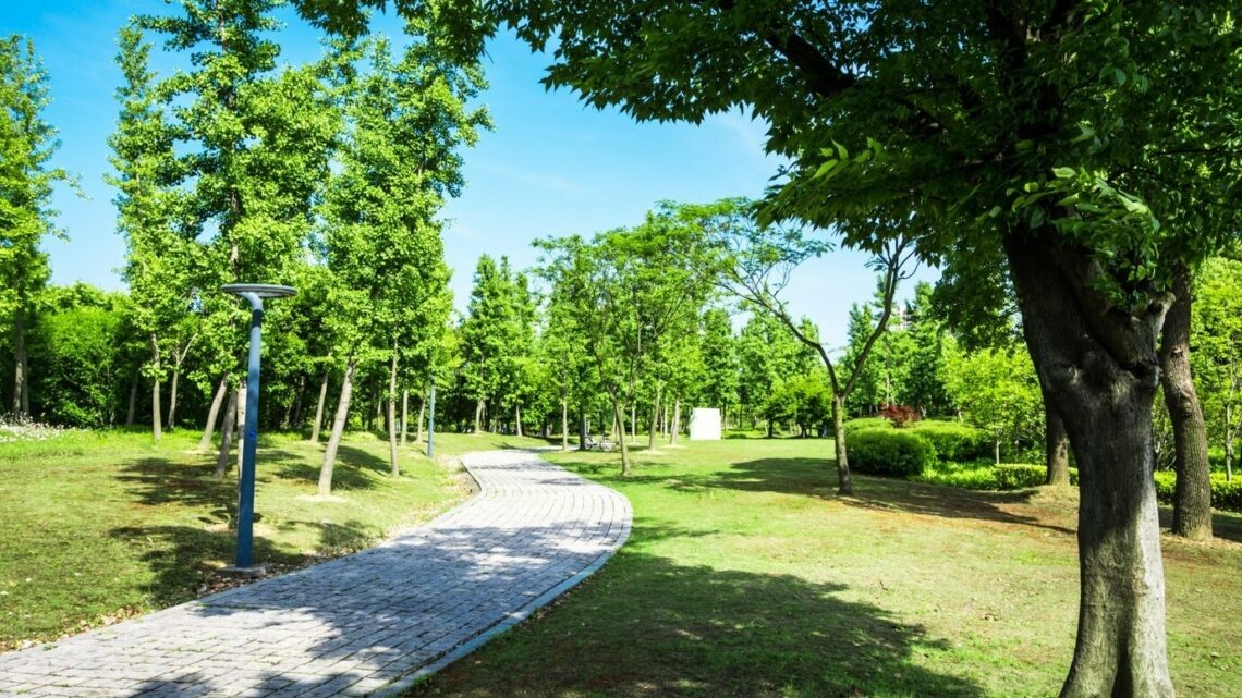    фото: evening_tao / freepik.com