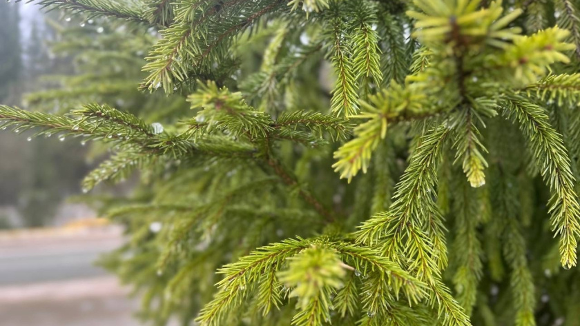    Фото: архив редакции