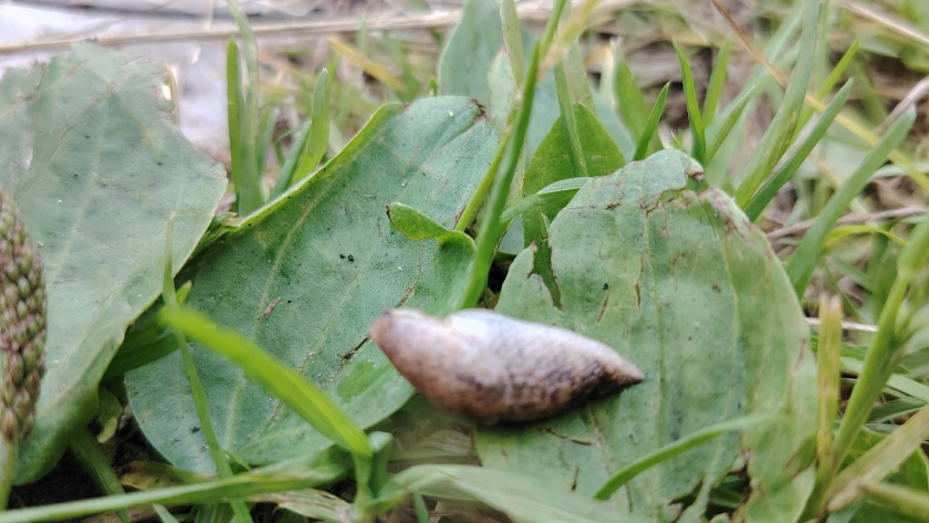    Фото редакции