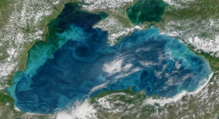 «Биологическая бомба»: из-за чего гниёт Чёрное море
