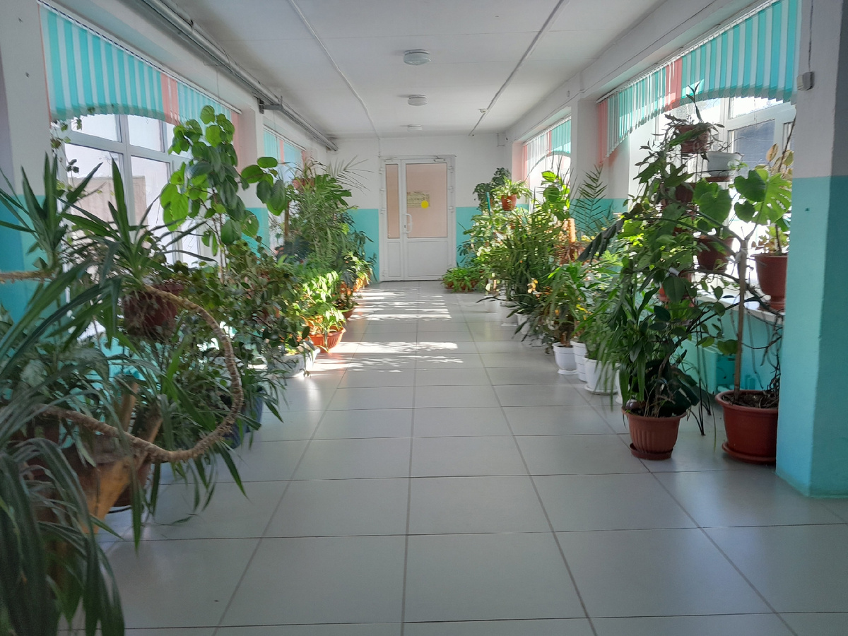 Зимний сад в школе №6