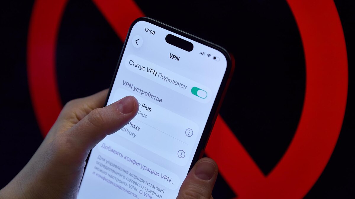   Фото: ИЗВЕСТИЯ/Полина Фиолет
