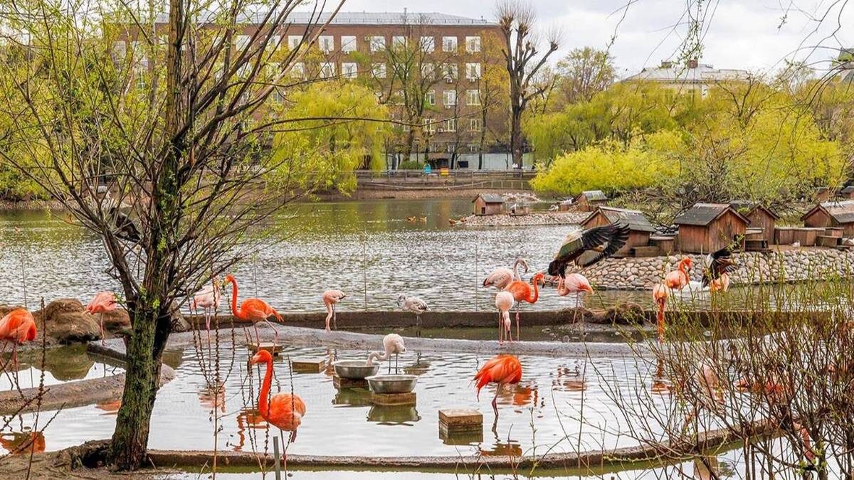    Фото: mos.ru / Официальный сайт мэра Москвы