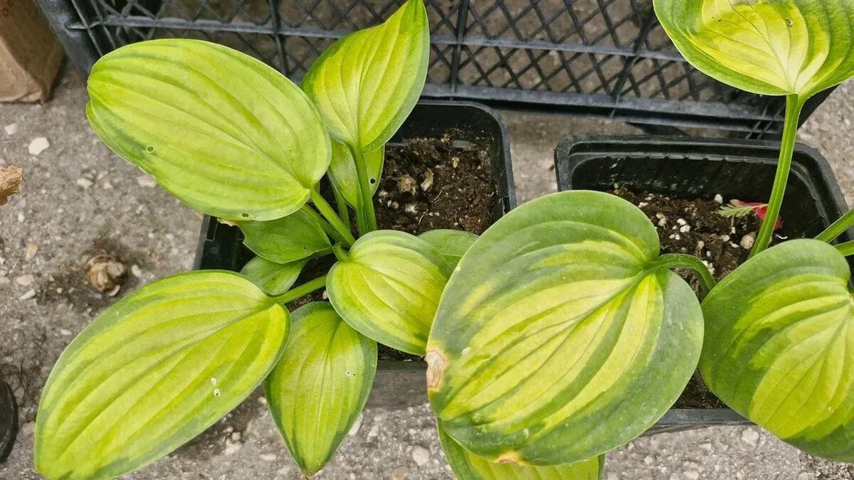 / Фото: REGIONS/Наталья Надточая