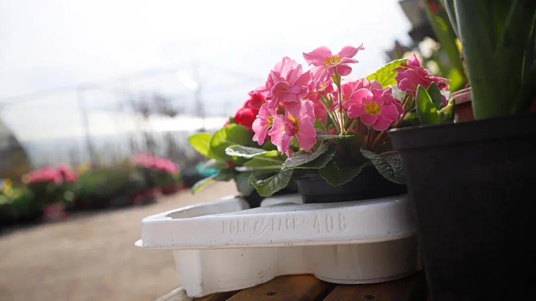 Фото: REGIONS/Наталья Надточая