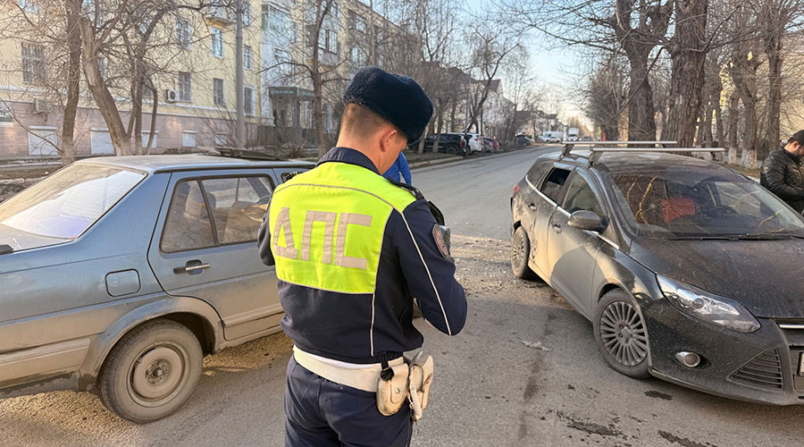 Фото: Госавтоинспекция ОМВД России «Полевской»