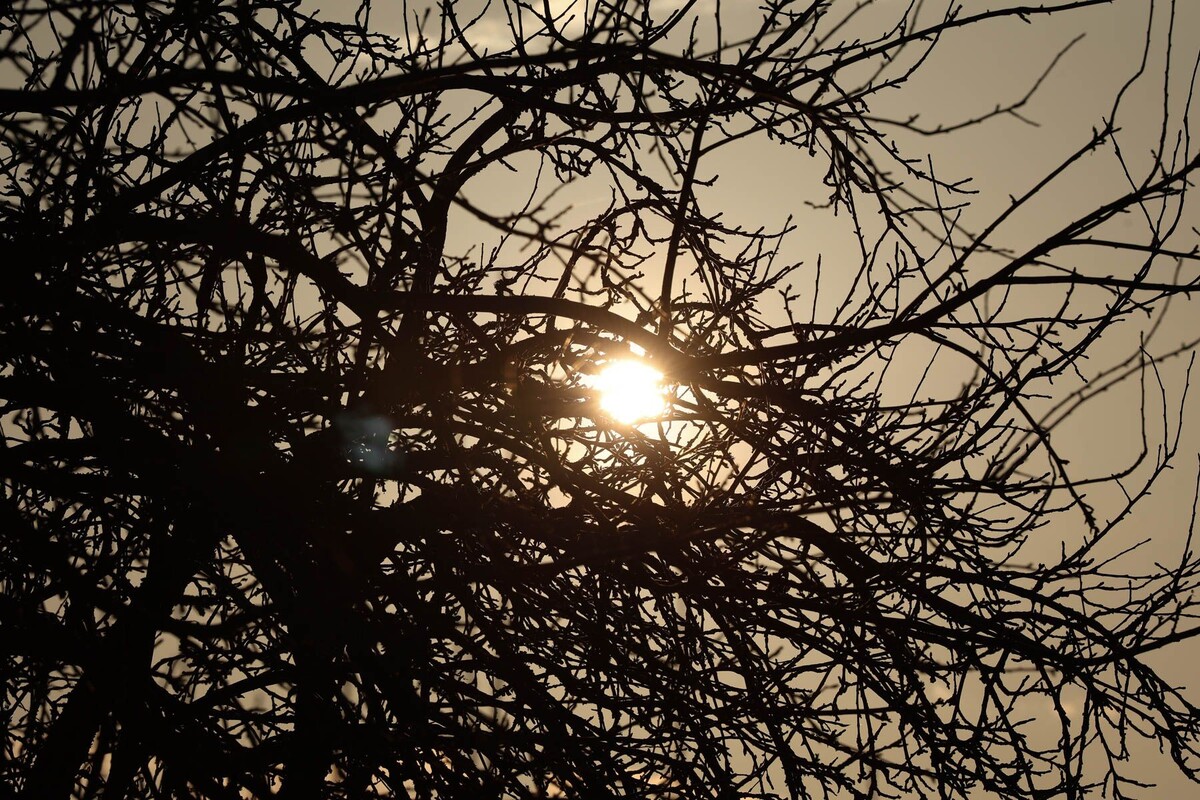  © Павел Орловский, Times.by