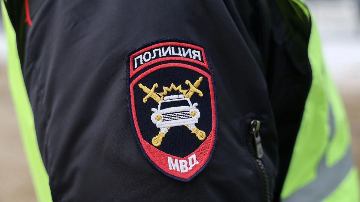    Фото: Андрей Ткачев/«Ямал-Медиа»