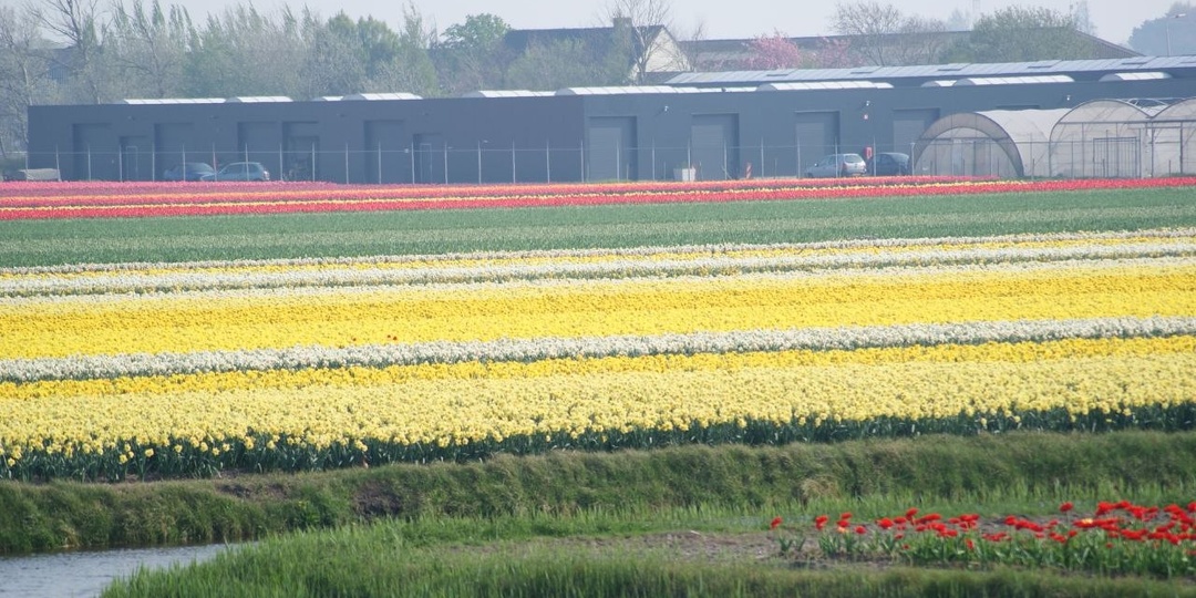 Голландия — пожалуй, одна из самых странных европейских стран, которые нам довелось посетить