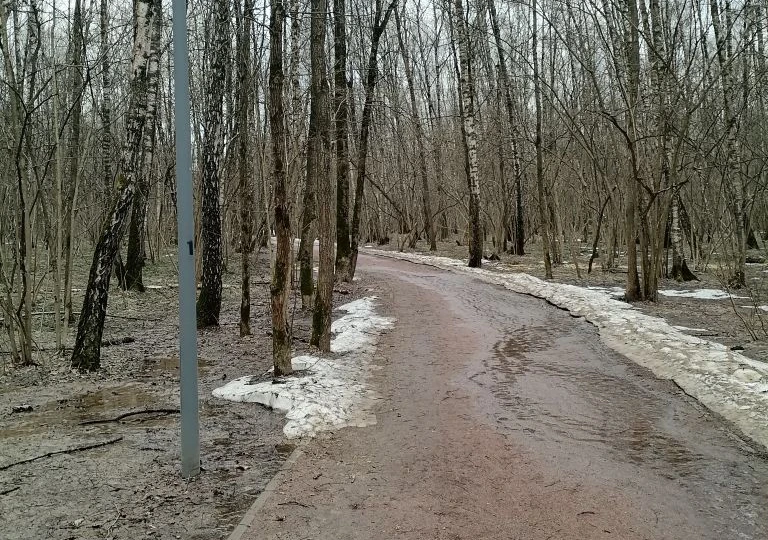 Обычный день обычной москвички на пенсии.