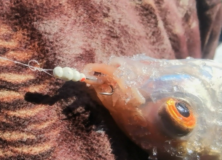 Начало рыбалки за 10 минут