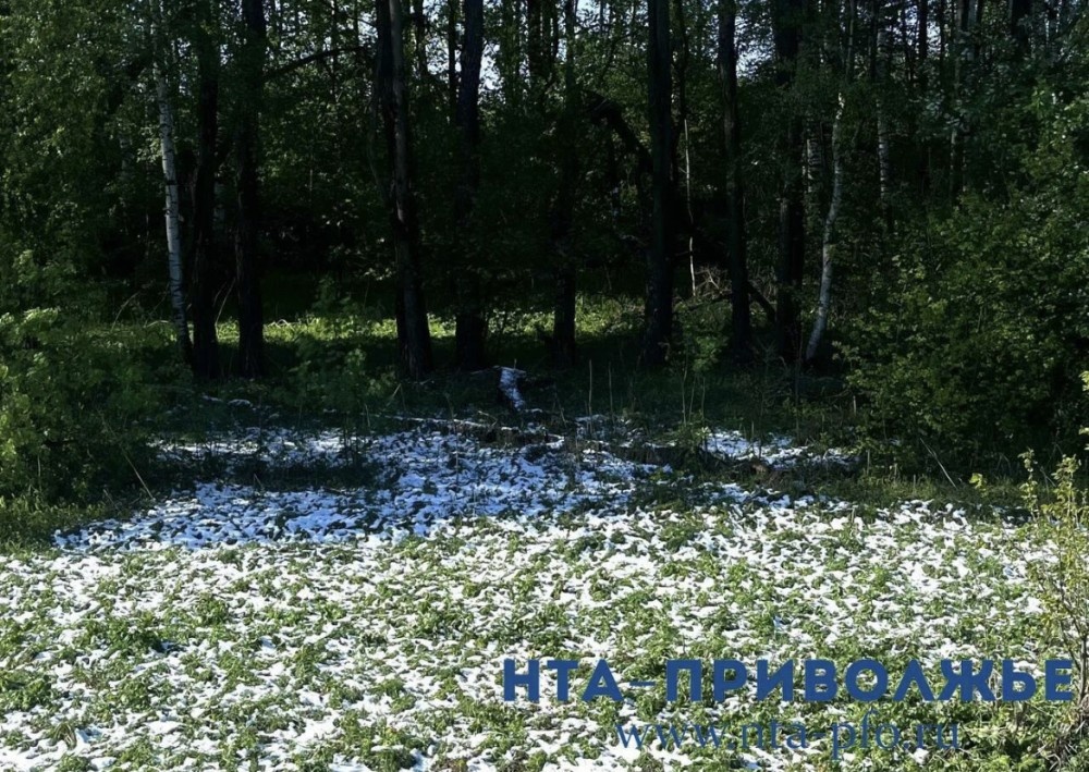    Международный День смеха отмечается 1 апреля