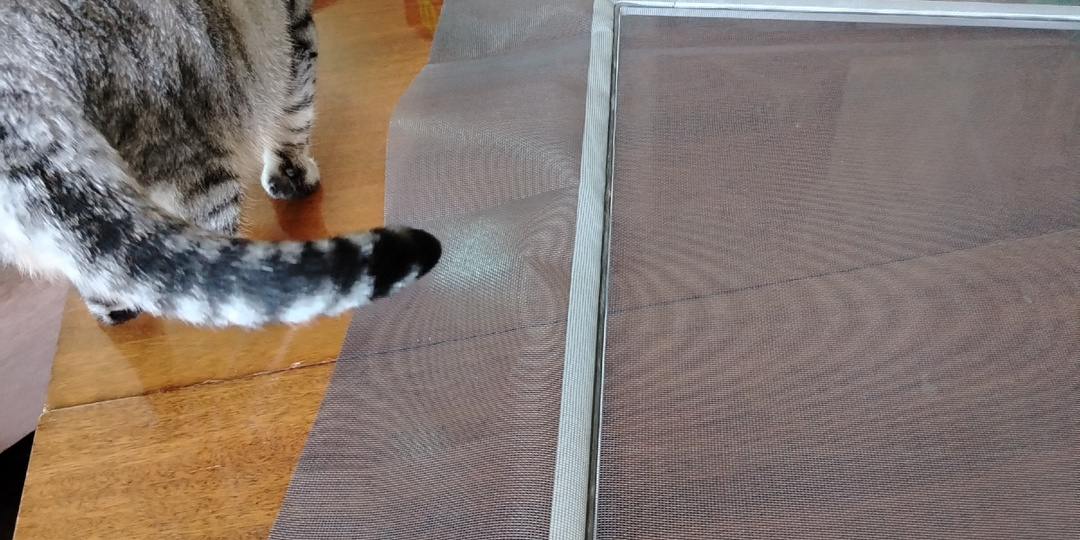 Пришла весна, пора вешать москитные сетки