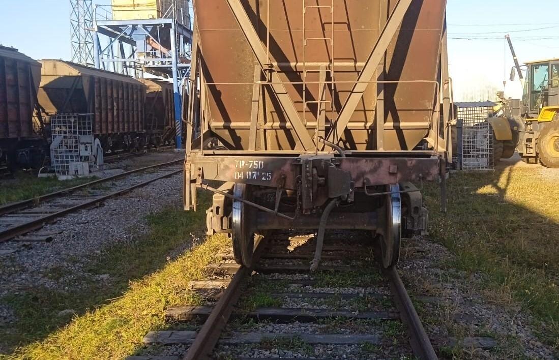 Фото: АПК Новости