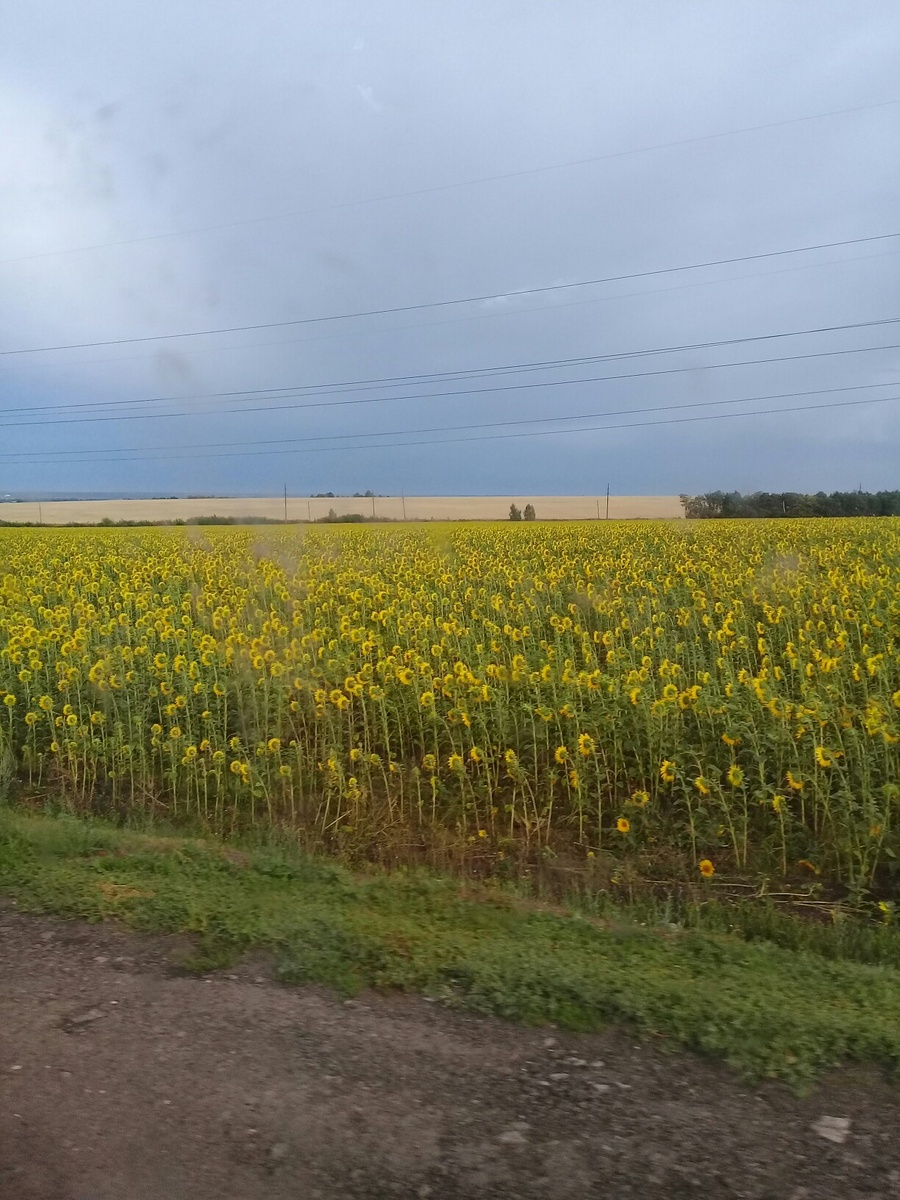 По дороге в Мучкап
